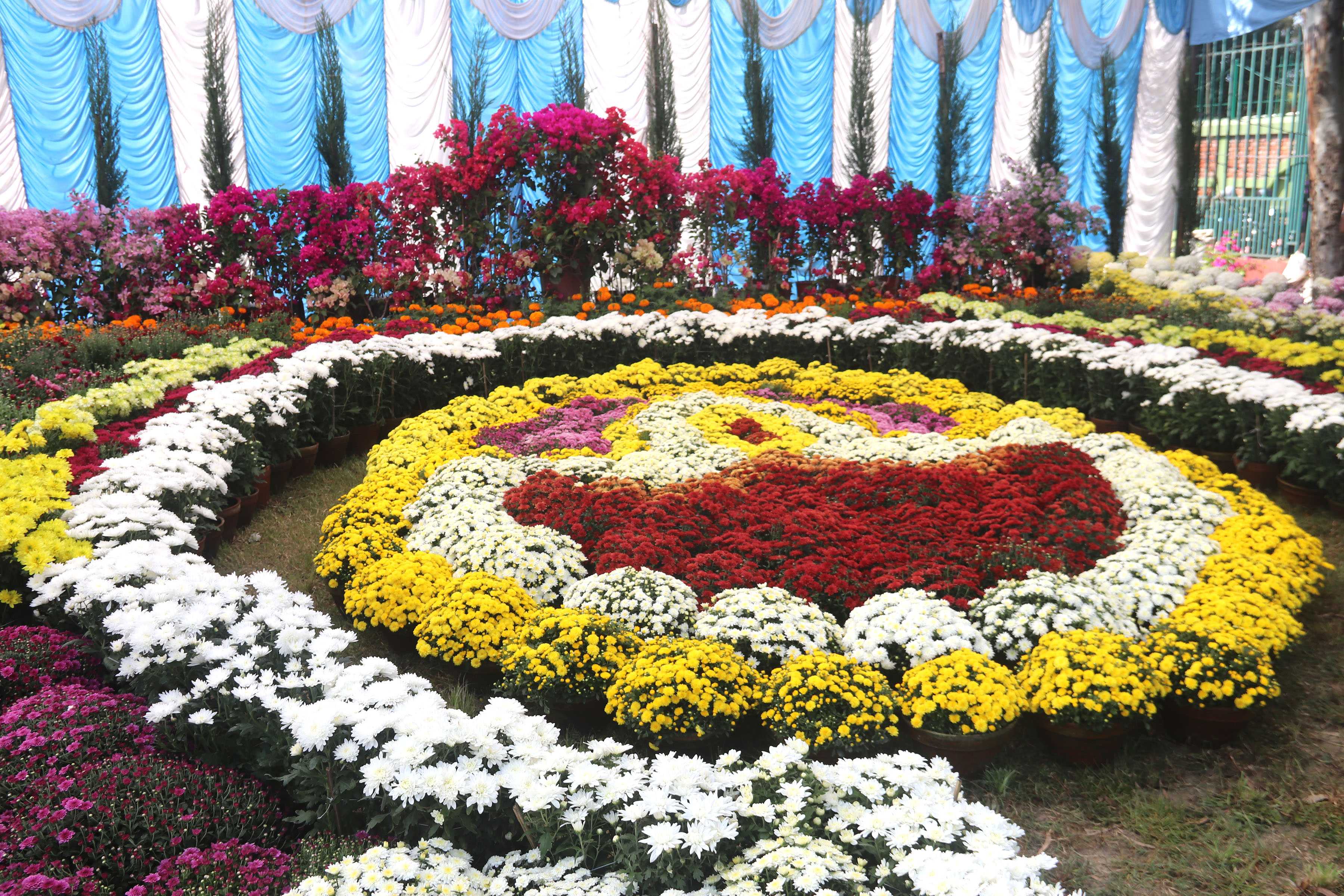 प्रदर्शनीमा राखिएका फूल अवलोकन गर्दै सर्वसाधारण (तस्बिरहरू)